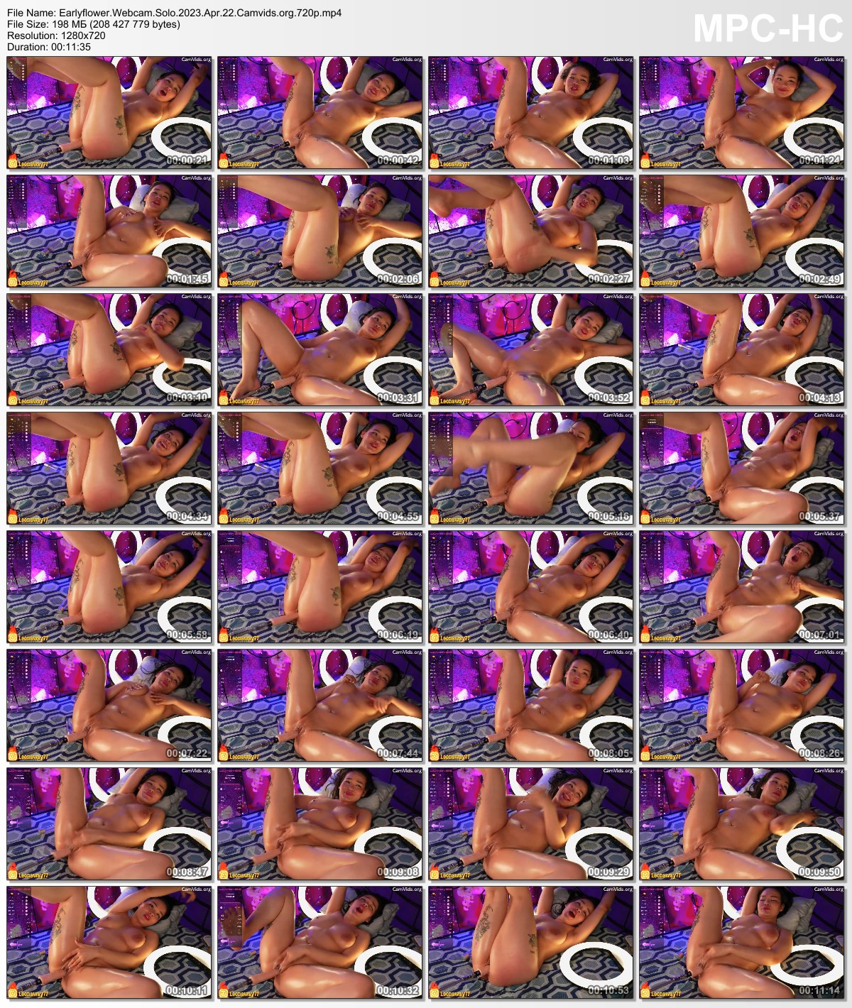 Earlyflower Webcam Solo 2023 Apr 22